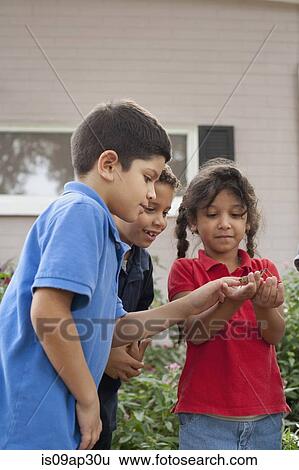 Children observing grasshopper in garden View Large Photo Image Stock Photograph - Children observing grasshopper in garden. Fotosearch