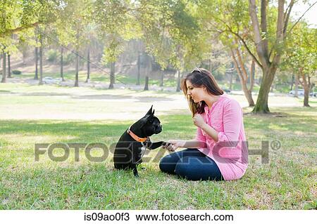 Cute pet dog giving paw to owner View Large Photo Image Stock Image - Cute pet dog giving paw to owner. Fotosearch