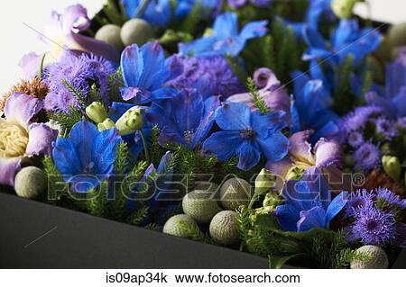Flower arrangement View Large Photo Image Stock Image - Flower arrangement. Fotosearch