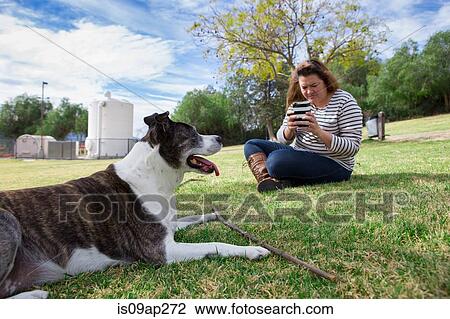 Mature woman photographing her dog in park using smartphone View Large Photo Image Stock Image - Mature woman photographing her dog in park using smartphone. Fotosearch