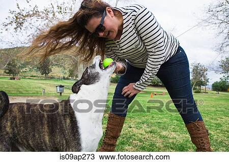 Stock Image - Mature woman playing with her dog in park. Fotosearch