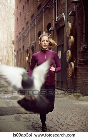 Pigeon flying in front of young female runner in alleyway View Large Photo Image Stock Image - Pigeon flying in front of young female runner in alleyway. Fotosearch