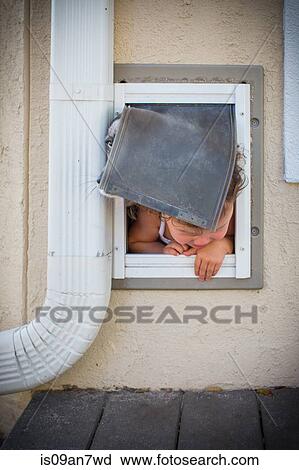 Toddler and dog escaping through doggy door View Large Photo Image Stock Image - Toddler and dog escaping through doggy door. Fotosearch