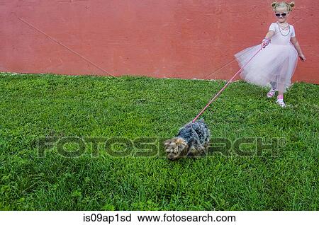 "Young girl wearing tutu, walking dog" View Large Photo Image Stock Image - "Young girl wearing tutu, walking dog". Fotosearch