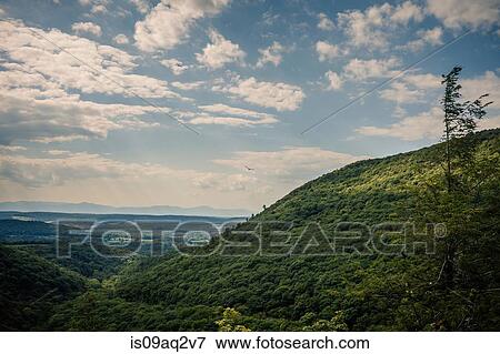 "Bird over a New England valley, Berkshire County, Massachusetts, USA" View Large Photo Image Stock Photo - "Bird over a New England valley, Berkshire County, Massachusetts, USA". Fotosearch