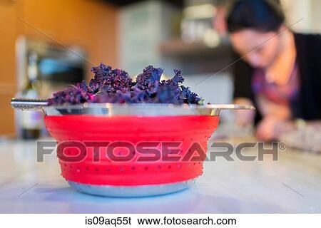 Bowl of fresh purple kale on kitchen counter View Large Photo Image Stock Photograph - Bowl of fresh purple kale on kitchen counter. Fotosearch