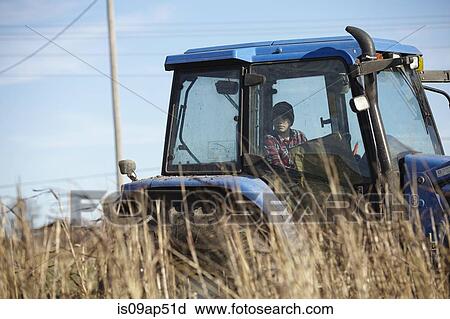 Boy farmer driving tractor in dairy farm field View Large Photo Image Stock Image - Boy farmer driving tractor in dairy farm field. Fotosearch