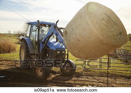 Stock Image - Boy farmer driving tractor moving hay stack on dairy farm. Fotosearch