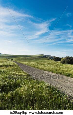 Stock Photography - "Dirt track in field landscape, Santa Barbara, California, USA". Fotosearch