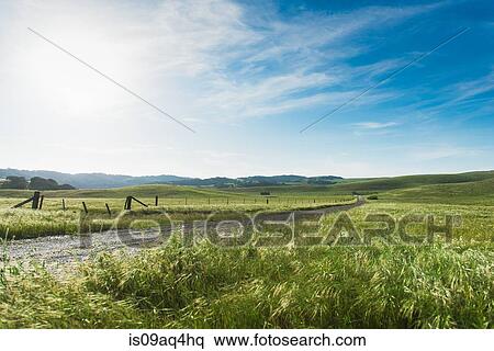 "Field landscape and dirt track, Santa Barbara, California, USA" View Large Photo Image Stock Photography - "Field landscape and dirt track, Santa Barbara, California, USA". Fotosearch