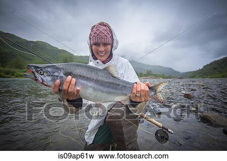 "Fisherwoman holding up caught pink salmon in river, Kodiak, Alaska, USA" View Large Photo Image Stock Photo - "Fisherwoman holding up caught pink salmon in river, Kodiak, Alaska, USA". Fotosearch