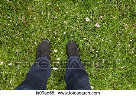 High angle view of young womans feet on lawn View Large Photo Image Stock Image - High angle view of young womans feet on lawn. Fotosearch