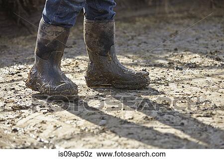 Legs of boy in muddy rubber boots in dairy farm yard View Large Photo Image Stock Photo - Legs of boy in muddy rubber boots in dairy farm yard. Fotosearch