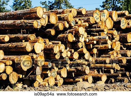 Log pile View Large Photo Image Stock Image - Log pile. Fotosearch