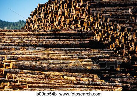Log pile View Large Photo Image Stock Image - Log pile. Fotosearch