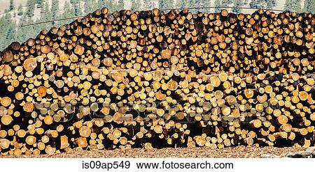 Stock Photo - Log pile. Fotosearch