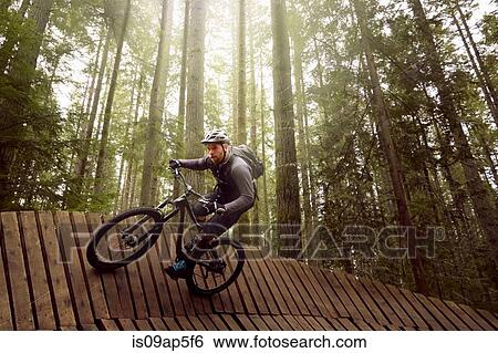 Stock Photograph - "Mature man doing stunts on mountain bike, in forest". Fotosearch