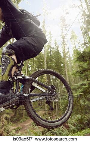 Stock Photo - "Mature man riding mountain bike in forest, low section". Fotosearch