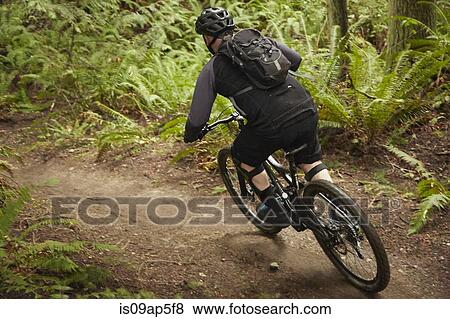 "Mature man riding mountain bike in forest, rear view" View Large Photo Image Stock Photo - "Mature man riding mountain bike in forest, rear view". Fotosearch