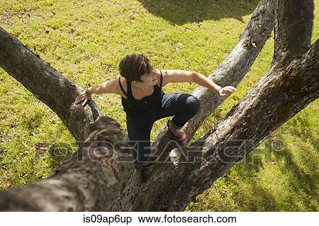 Stock Photography - Mid adult woman climbing up tree. Fotosearch