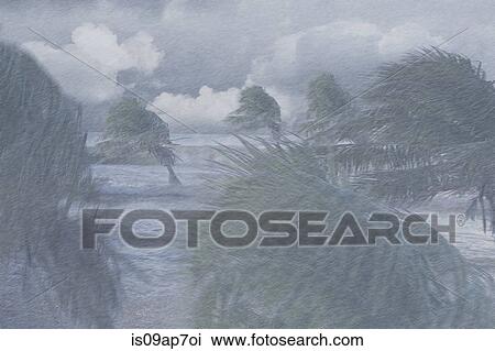 Palm trees blowing in extreme weather conditions View Large Photo Image Stock Image - Palm trees blowing in extreme weather conditions. Fotosearch