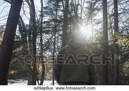 Stock Photo - "Rear view of mature man walking in sunlit forest, Maine, USA". Fotosearch