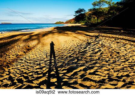 "Shadow selfie on beach, Maui, Hawaii" View Large Photo Image Stock Image - "Shadow selfie on beach, Maui, Hawaii". Fotosearch