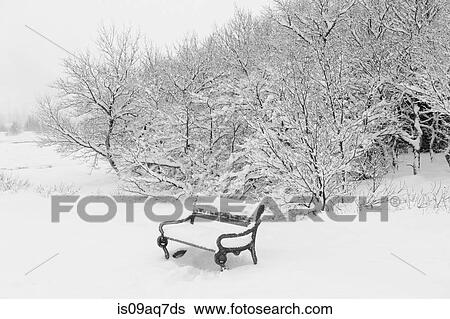 "Snow covered trees and park bench, Reykjavik, Iceland" View Large Photo Image Stock Photograph - "Snow covered trees and park bench, Reykjavik, Iceland". Fotosearch
