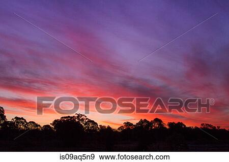 Sunset over trees View Large Photo Image Stock Photo - Sunset over trees. Fotosearch