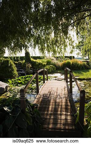 Weeping willow and wooden footbridge over lily pond in garden at sunset View Large Photo Image Stock Photography - Weeping willow and wooden footbridge over lily pond in garden at sunset. Fotosearch