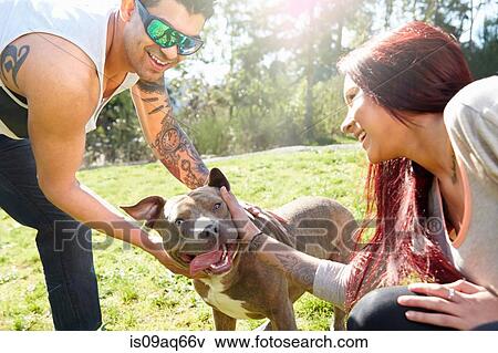 Young couple petting dog in park View Large Photo Image Stock Photo - Young couple petting dog in park. Fotosearch