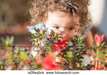 "Young girl, smelling flowers, outdoors" View Large Photo Image Stock Image - "Young girl, smelling flowers, outdoors". Fotosearch