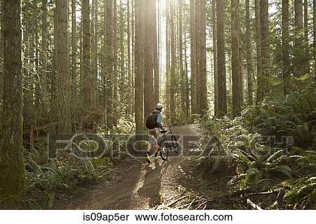 Stock Photography - "Young man walking mountain bike through forest, rear view". Fotosearch
