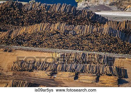 Aerial view of stacks of logged tree trunks in timber yard View Large Photo Image Stock Photograph - Aerial view of stacks of logged tree trunks in timber yard. Fotosearch