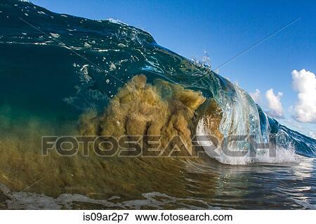 "Barrelling wave, Hawaii, USA" View Large Photo Image Stock Photo - "Barrelling wave, Hawaii, USA". Fotosearch