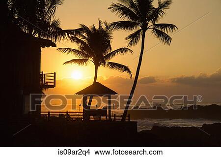 "Beach house and palm trees at sunset, Hawaii, USA" View Large Photo Image Picture - "Beach house and palm trees at sunset, Hawaii, USA". Fotosearch