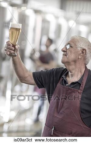 Brewer in brewery holding up a glass of beer View Large Photo Image Stock Photograph - Brewer in brewery holding up a glass of beer. Fotosearch