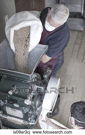 Brewer pouring grain into a machine View Large Photo Image Stock Image - Brewer pouring grain into a machine. Fotosearch