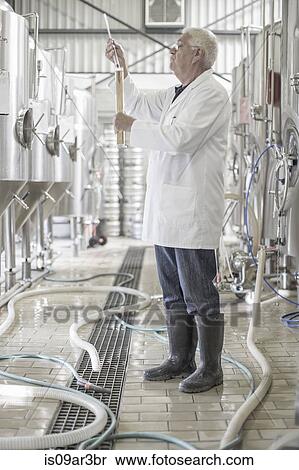 Brewer testing the beer in the brewery View Large Photo Image Stock Photography - Brewer testing the beer in the brewery. Fotosearch