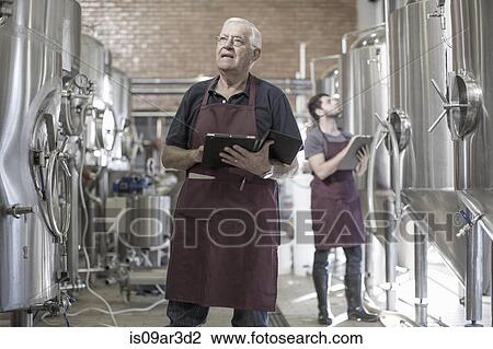 Stock Image - Brewers in brewery standing next to stainless steel tanks. Fotosearch