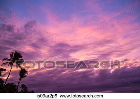 "Dramatic sky and palm trees, Hawaii, USA" View Large Photo Image Stock Photography - "Dramatic sky and palm trees, Hawaii, USA". Fotosearch