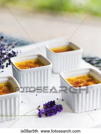 Four dishes of caramelized custards on table View Large Photo Image Stock Image - Four dishes of caramelized custards on table. Fotosearch