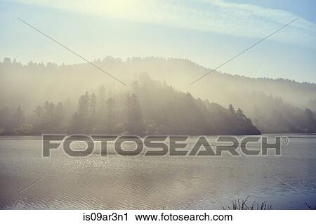 Stock Image - "Freshwater lagoon, Trinidad, California, USA". Fotosearch
