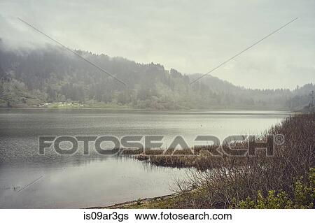 "Freshwater Lagoon, Trinidad, California, USA" View Large Photo Image Stock Photograph - "Freshwater Lagoon, Trinidad, California, USA". Fotosearch