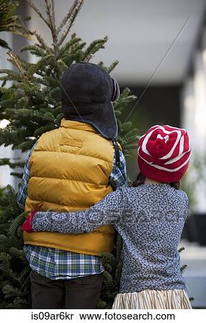 Girl and boy carrying christmas tree View Large Photo Image Stock Photography - Girl and boy carrying christmas tree. Fotosearch