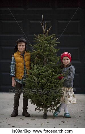 Girl and boy holding christmas tree View Large Photo Image Stock Photography - Girl and boy holding christmas tree. Fotosearch