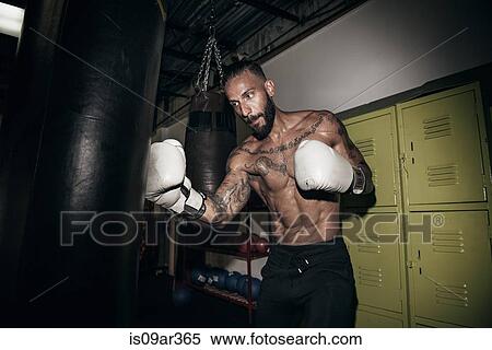 Male boxer training on gym punch bag View Large Photo Image Stock Photography - Male boxer training on gym punch bag. Fotosearch