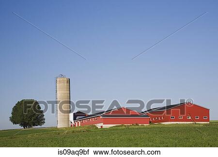 Modern Red Dairy Farm And Grain Silo In Rural Field Stock Image