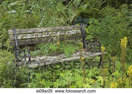 Old wooden bench in overgrown garden View Large Photo Image Stock Image - Old wooden bench in overgrown garden. Fotosearch