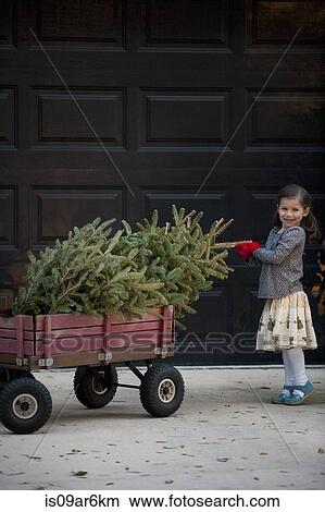 Portrait of a girl pushing cart with christmas tree View Large Photo Image Picture - Portrait of a girl pushing cart with christmas tree. Fotosearch
